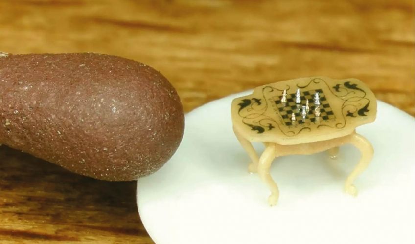 Микроминиатюра-музей «Русский Левша»