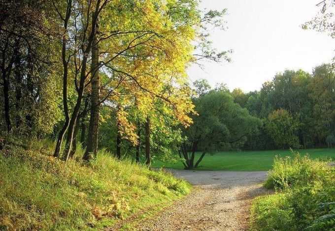 u0412 u0433u043eu0440u043eu0434u0435 u043fu043eu044fu0432u044fu0442u0441u044f u0434u0432u0430 u043du043eu0432u044bu0445 u043fu0430u0440u043au0430