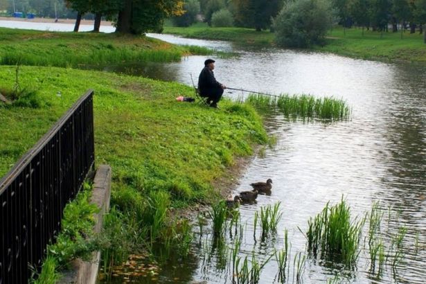 u0412 u041fu0443u0448u043au0438u043du0435 u0441u043eu0441u0442u043eu0438u0442u0441u044f u0431u043bu0430u0433u043eu0442u0432u043eu0440u0438u0442u0435u043bu044cu043du0430u044f u0440u044bu0431u0430u043bu043au0430