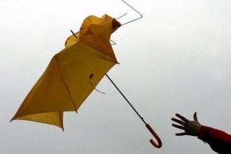 МЧС предупреждает о том, что непогода из нашего города не уйдет. По данным синоптиков, и днем, и ночью, в субботу, 18 июня, в Петербурге ожидаются ливни, грозы и порывы ветра до 15-20 метров в секунду.