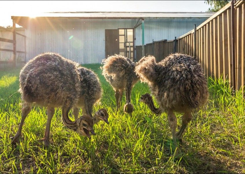 0 d5351 41c5dc62 orig b754b