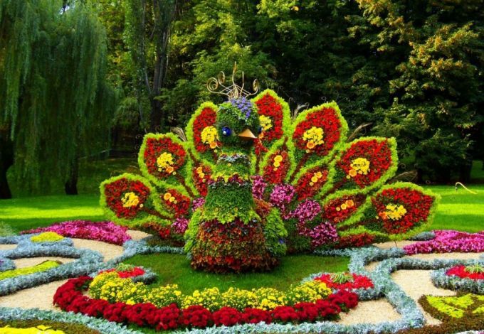 u0424u0435u0441u0442u0438u0432u0430u043bu044c u00abu0418u043cu043fu0435u0440u0430u0442u043eu0440u0441u043au0438u0435 u0441u0430u0434u044bu00bb u0420u043eu0441u0441u0438u0438-2016