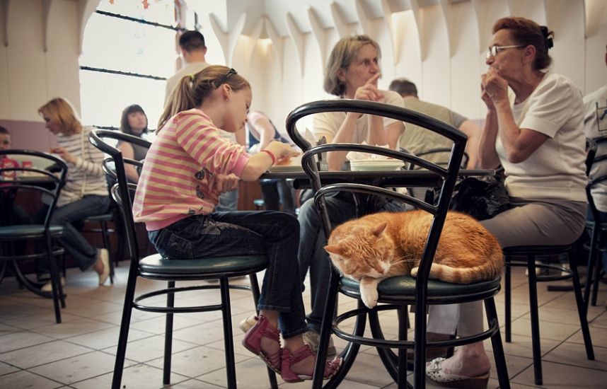 6b8b9a004f2ccf37f479b88f04cb23c6 ad386