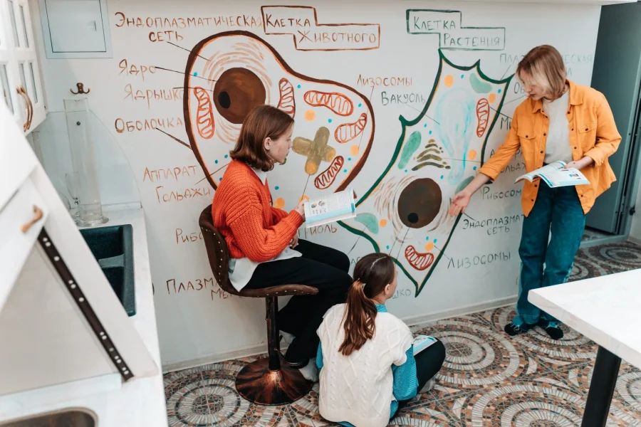 Например, в школе Priviata внимание уделяется игровым подходам и развитию критического мышления и креативности. Лицей «Паскаль» и школа «Аксон» подчеркивают важность индивидуального подхода и всестороннего развития учеников. В школе «Деловая волна» сочетаются российские и британские образовательные стандарты, а «Тет-А-Тет» привлекает сильным акцентом на творчество и искусства, в то время как «Артхелло Атлас» привлекает полным учебным днем до 19:00 и собственным бассейном. Эти и другие частные школы Петербурга обеспечивают высокий уровень обучения и подготовку к современной жизни.