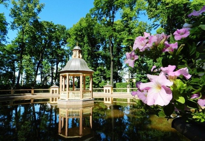 u041du0435u043eu0431u044bu0447u043du0443u044e u0432u044bu0441u0442u0430u0432u043au0443 u0437u0430u043fu0430u0445u043eu0432 u043eu0442u043au0440u043eu044eu0442 u0432 u041fu0435u0442u0435u0440u0431u0443u0440u0433u0435