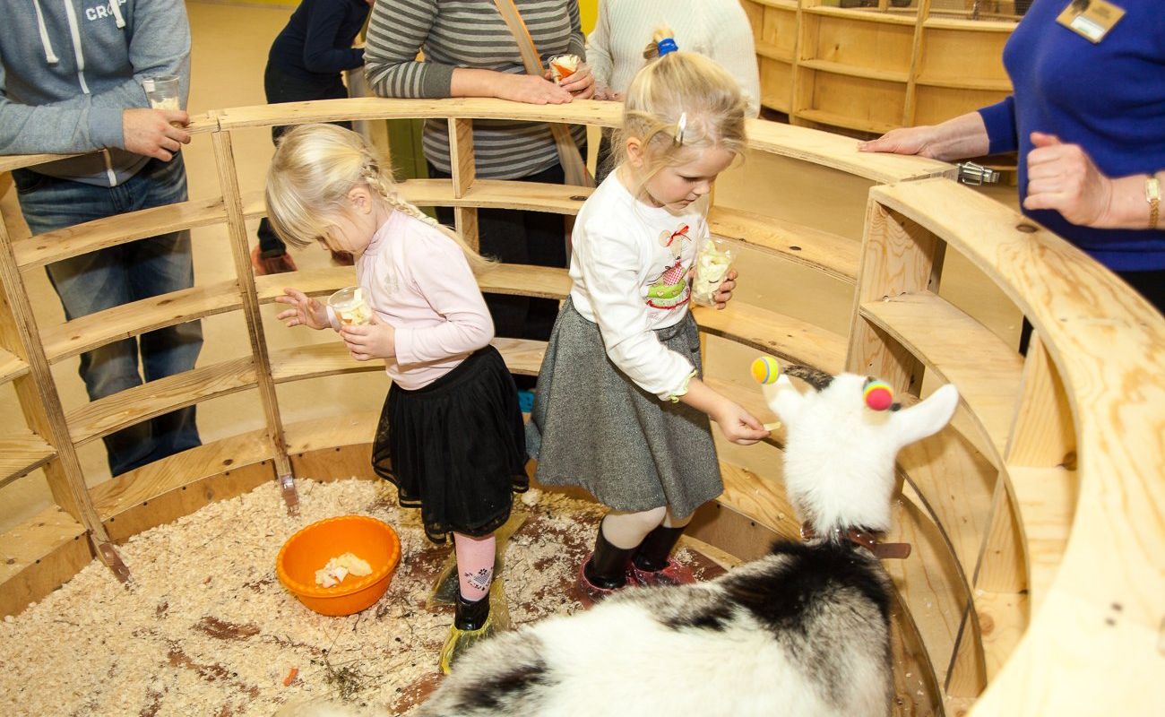 В самом сердце Санкт-Петербурга, на третьем этаже торгового центра LeoMall, спрятан настоящий лесной уголок — контактный зоопарк "Лесное посольство". Здесь нашли свой дом очаровательные еноты, рыжие лисы, милые кролики и множество других животных, с которыми можно не только познакомиться, но и подружиться. В этом уютном зоопарке каждый посетитель может не только полюбоваться на лесных обитателей, но и покормить их, погладить, взять на руки и сфотографироваться на память.