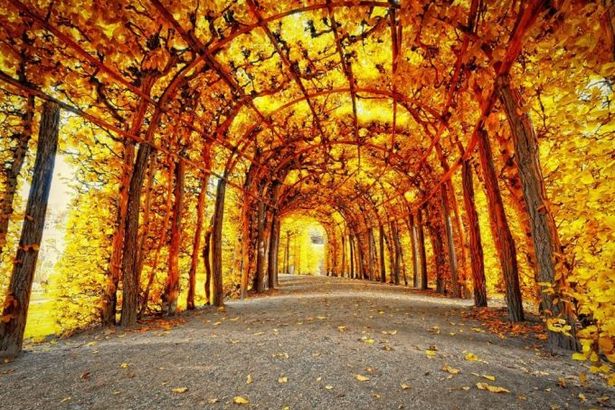 u041eu0441u0435u043du043du0438u0439 u043cu0430u0440u0448u0440u0443u0442 u043fu043e u041fu0435u0442u0435u0440u0431u0443u0440u0433u0443: u0446u0435u043du0442u0440. u0427u0430u0441u0442u044c I