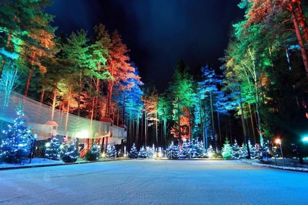 u00abu041bu0435u0441u043du043eu0439 u043au0430u0442u043eu043au00bb u0432 u00abu041eu0445u0442u0430 u041fu0430u0440u043au0435u00bb