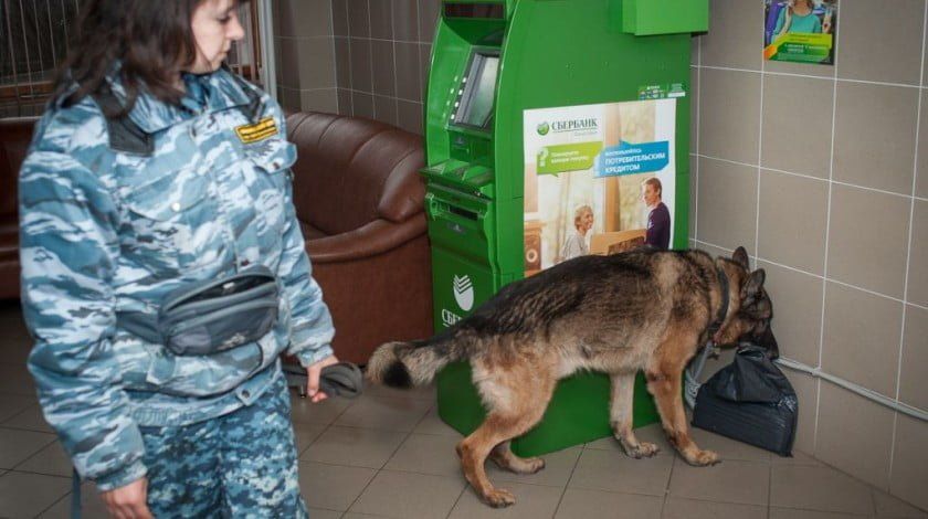 u041fu0435u0442u0435u0440u0431u0443u0440u0436u0446u0435u0432 u043fu0440u043eu0441u044fu0442 u0432u044bu0431u0440u0430u0441u044bu0432u0430u0442u044c u043du0435u043du0443u0436u043du044bu0435 u0432u0435u0449u0438 u0432 u043cu0443u0441u043eu0440u043du044bu0435 u0431u0430u043au0438