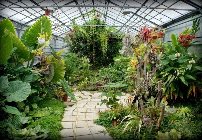 Ботанический сад Петра Великого