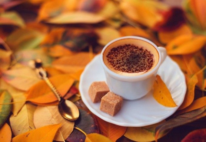 1 и 2 октября в Павловском парке состоится масштабный фестиваль «Кофе & Jazz». На осенних аллеях парка и в исторических павильонах впервые прозвучат мелодии и ритмы мировых джазменов. Помимо музыки, гостей порадуют огромным выбором вкуснейших горячих напитков и угощений.