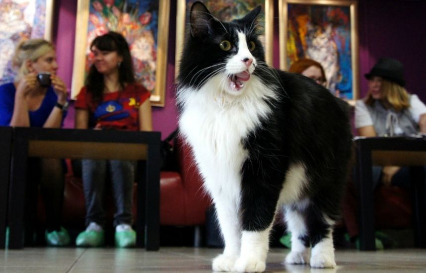 198049 cover.jpg.1050x700 q95 crop upscale 7fac9