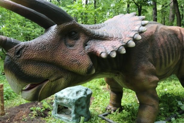 u0414u0438u043du043eu0437u0430u0432u0440u044b u043fu043eu0441u0435u043bu0438u043bu0438u0441u044c u043du0430 u041au0440u0435u0441u0442u043eu0432u0441u043au043eu043c u043eu0441u0442u0440u043eu0432u0435