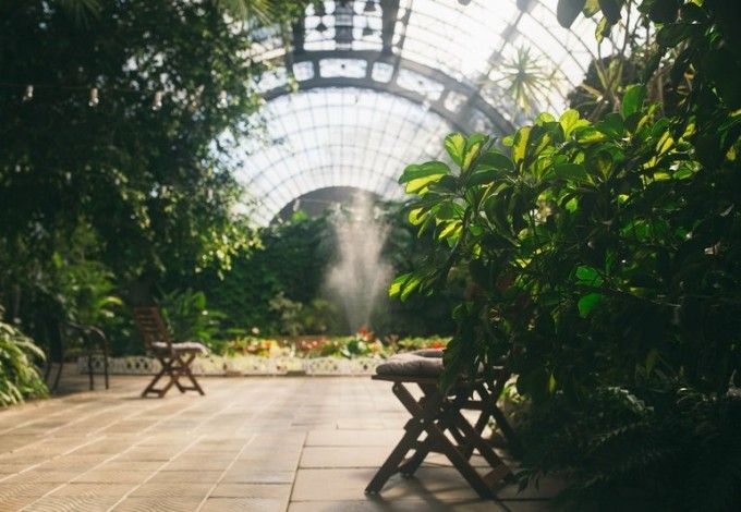 В зеленом уголке Петербурга, где всегда царит лето, в оранжерее Таврического сада открылось тайм-кафе&nbsp;Lemonad. Раньше место располагалось на Белинского, теперь они&nbsp;переехали&nbsp;под свод хрустальных&nbsp;куполов,&nbsp;и в окружение пальм.