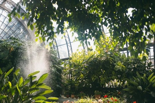 Когда за окном промозглые серые дни, так хочется хоть на минуту перенестись в тропический сад с удивительными растениями и животными. Питер Online подсказывает, где в Петербурге солнечное лето длится круглый год.