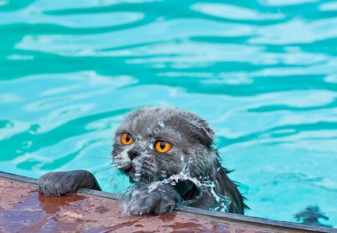 u0412u0441u0435 u0431u0430u0441u0441u0435u0439u043du044b u041fu0435u0442u0435u0440u0431u0443u0440u0433u0430 u2014 u043fu043e u0440u0430u0439u043eu043du0430u043c