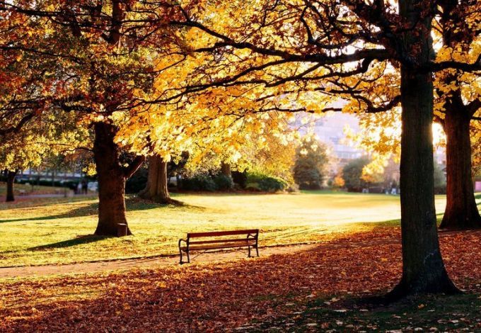 Воронежский сад со скамейками, зелеными насаждениями и тихими аллеями - место для спокойного отдыха от городской суеты