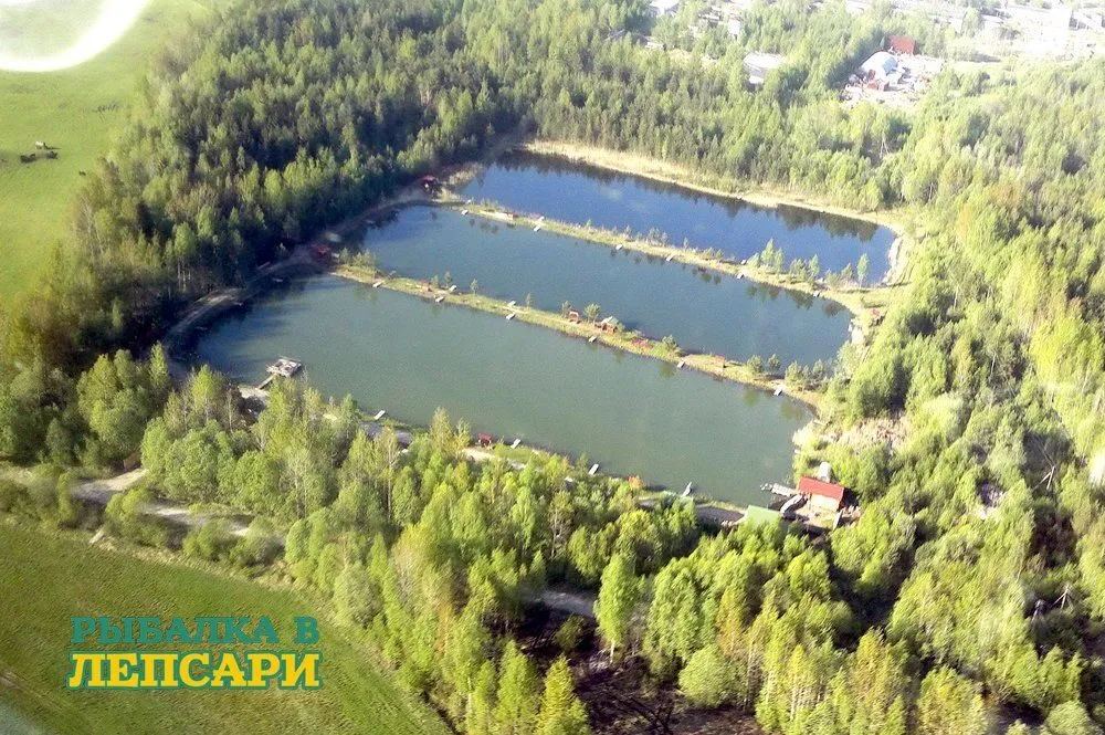 Пруд с деревянными мостками для ловли форели в комплексе Лепсари под Всеволожском