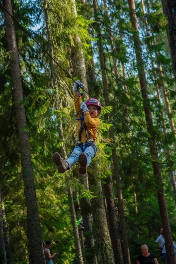 Norway Park Орех