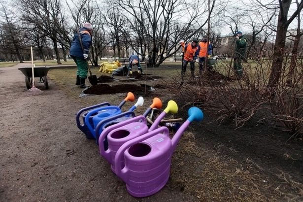 u041fu0435u0440u0432u044bu0439 u0432u0435u0441u0435u043du043du0438u0439 u0441u0443u0431u0431u043eu0442u043du0438u043a u0432 u0421u0430u043du043au0442-u041fu0435u0442u0435u0440u0431u0443u0440u0433u0435 u043fu0440u043eu0439u0434u0435u0442 23 u0430u043fu0440u0435u043bu044f