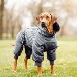 От комбинезонов с примеркой на дому до вязаных свитеров ручной работы и груминга с собственным ателье — 10 петербургских магазинов и мастерских, где собаку оденут по меркам и по погоде.