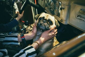 «День Святого Мопсантина»