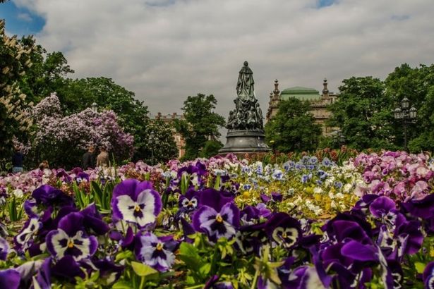 u0412 u041fu0435u0442u0435u0440u0431u0443u0440u0433u0435 u0432u044bu0441u0430u0434u0438u043bu0438 u0441u0435u043cu044c u043cu0438u043bu043bu0438u043eu043du043eu0432 u0446u0432u0435u0442u043eu0432