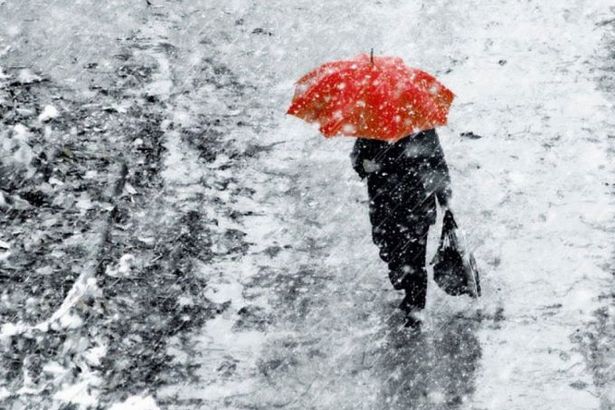 u0412 u041fu0435u0442u0435u0440u0431u0443u0440u0433u0435 u043fu0440u043eu0439u0434u0435u0442 u043cu043eu043au0440u044bu0439 u0441u043du0435u0433