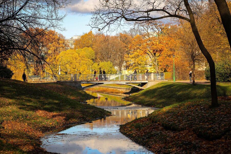 Пейзажный Таврический сад с вековыми деревьями, прудом и тенистыми аллеями