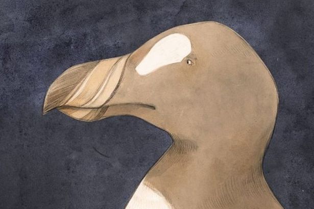 На выставке представлены представители утерянной фауны и вся возможная информация о них. Организаторы приглашают познакомиться с теми, кого больше не встретить в реальной жизни.