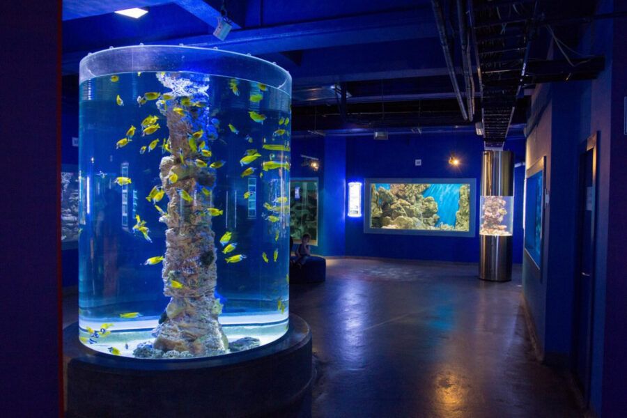 Парки аттракционов, интерактивные музеи, игровые центры, детские театры, кафе с анимацией, батутные парки и контактные зоопарки – куда сходить с ребенком в Петербурге? В подборке 114 мест для семейного отдыха.