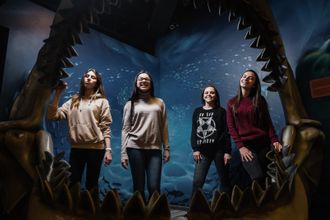 В Культурной столице России есть три необычных музея, где можно трогать экспонаты, щупать экспонаты и купаться в них. Это «Сладкий музей», состоящий из 12 тематических зон, Музей рекордов и фактов, собравший в себе «все самое удивительное и необычное» и сухой бассейн "Драйвпул" — самый большой в Петербурге бассейн из шариков.