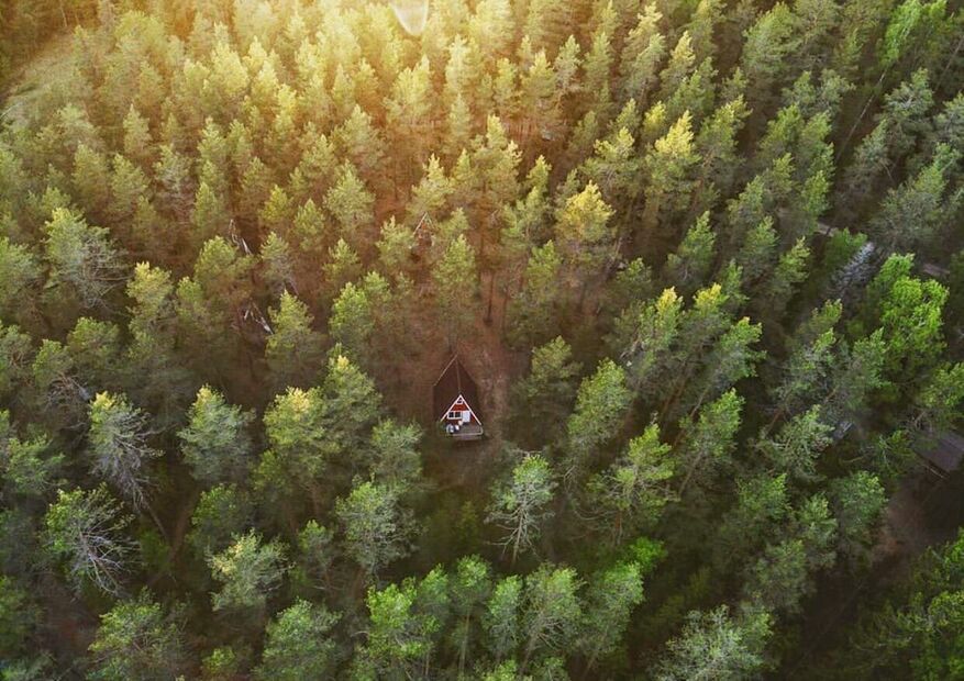 Домик в лесу «GREENVALD Парк Скандинавия»