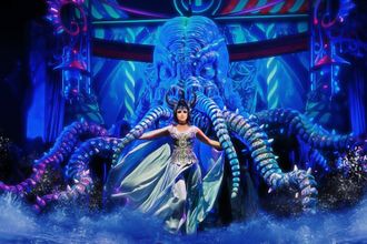 Новый театр «LDM. Новая сцена» на Песочной набережной является одним из немногих частных музыкальных театров в России и единственным в Санкт-Петербурге, который после последней реконструкции стал идеальным местом для мультимедийных мюзиклов и шоу. Зал театра рассчитан на 1204 места, оборудован по последнему слову техники, имеет уникальную архитектуру и акустику, создающую волшебную атмосферу для зрителей.