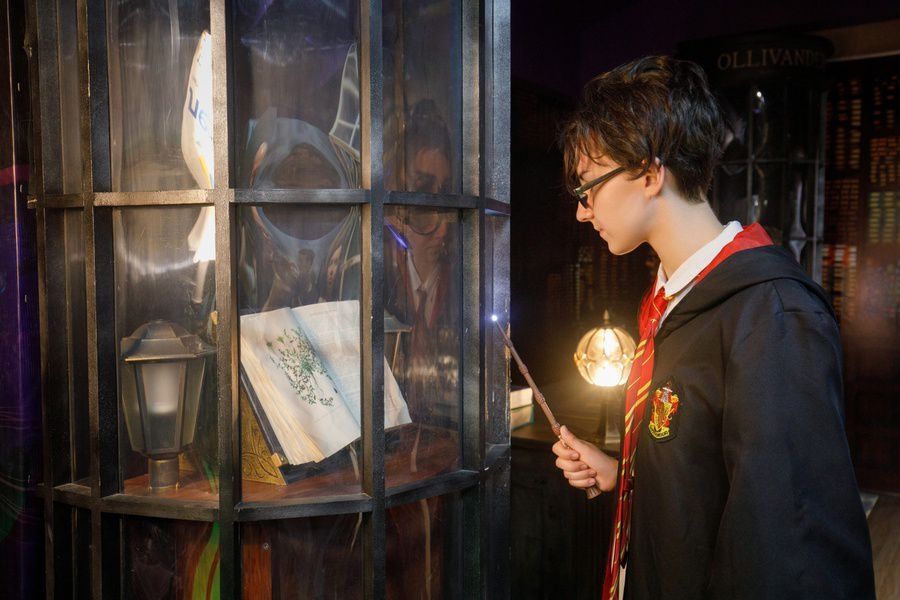 Интерактивная выставка «Дверь в Хогвартс»