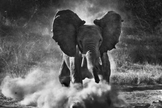 u0412u044bu0441u0442u0430u0432u043au0430 u00abu0413u0435u043du0435u0437u0438u0441u00bb u0421u0435u0431u0430u0441u0442u0438u043e u0421u0430u043bu044cu0433u0430u0434u043e