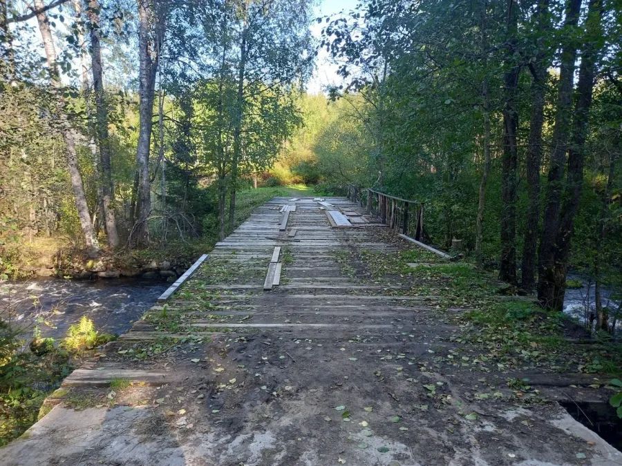 Экотропа вдоль реки Гладышевка с остатками финской мельницы