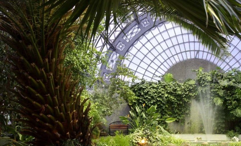 u0412 u0411u043eu0442u0430u043du0438u0447u0435u0441u043au043eu043c u0441u0430u0434u0443 u041fu0435u0442u0435u0440u0431u0443u0440u0433u0430 u043fu0440u043eu0439u0434u0443u0442 u043au043eu043du0446u0435u0440u0442u044b u043du0430 u043eu0442u043au0440u044bu0442u043eu043c u0432u043eu0437u0434u0443u0445u0435