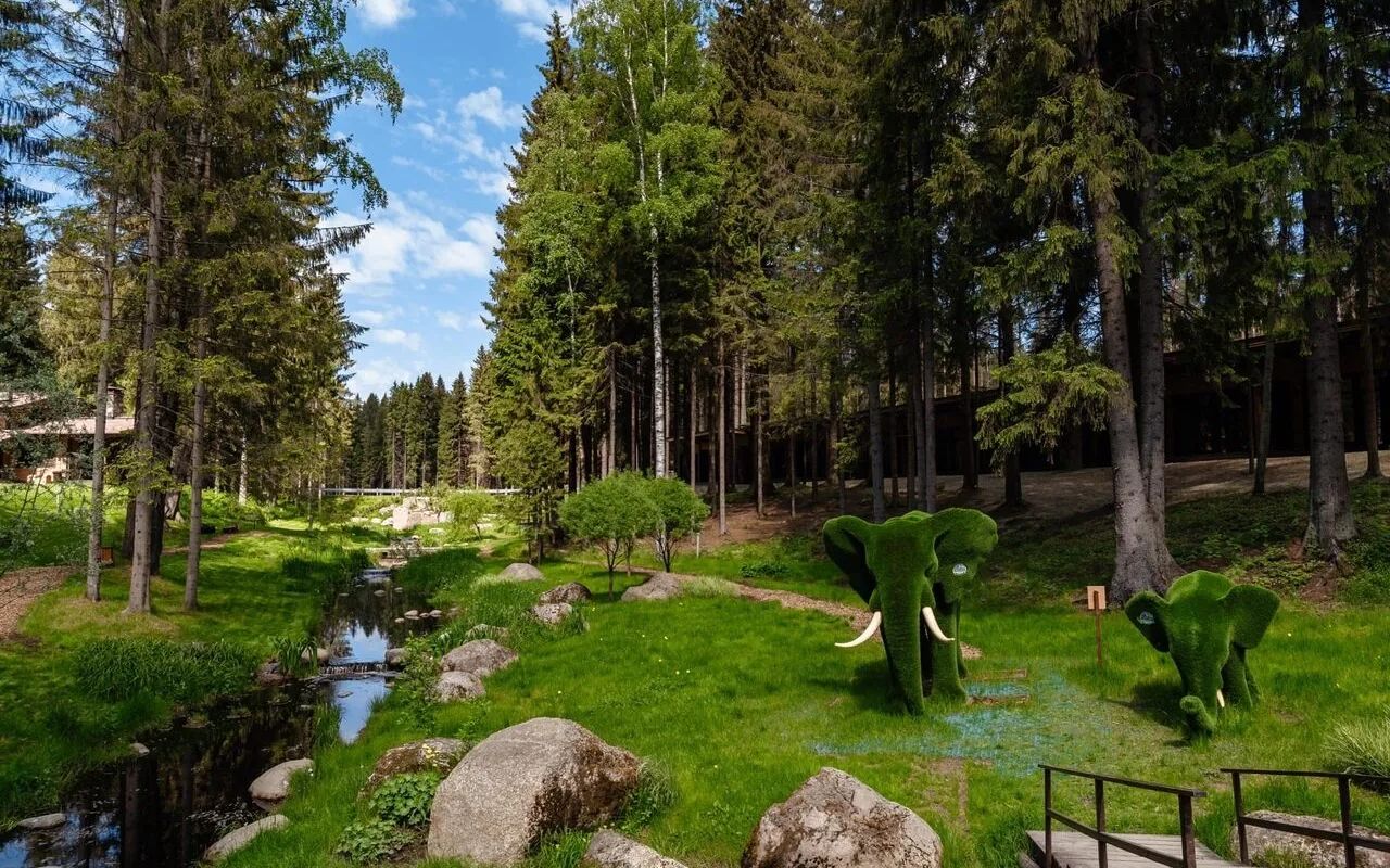 От горнолыжных трасс Туутари до трофейной рыбалки на Ладоге — 10 проверенных баз отдыха Ленинградской области, где петербуржцы перезагружаются на выходных без долгих перелётов.