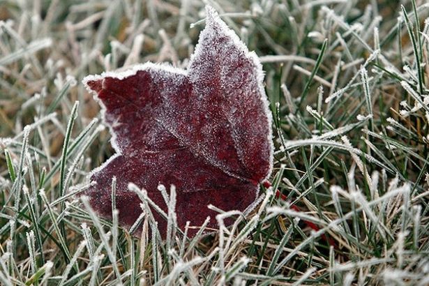 Погода решила поиграться с нами: синоптики сообщили, что после 18 сентября столбик термометра опустится ниже нуля. Но уже в начале октября нас ждёт ещё одно «Бабье лето»!