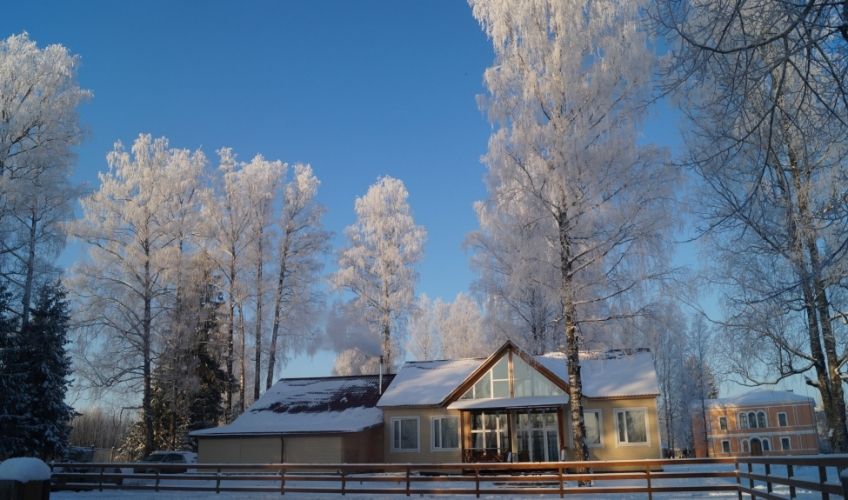 Территория кемпинга Буревестник с видом на коттеджи и природу Тихвинского района