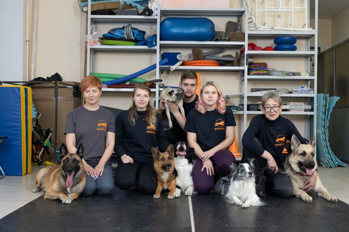 PetRehab — СПА для животных в Санкт-Петербурге