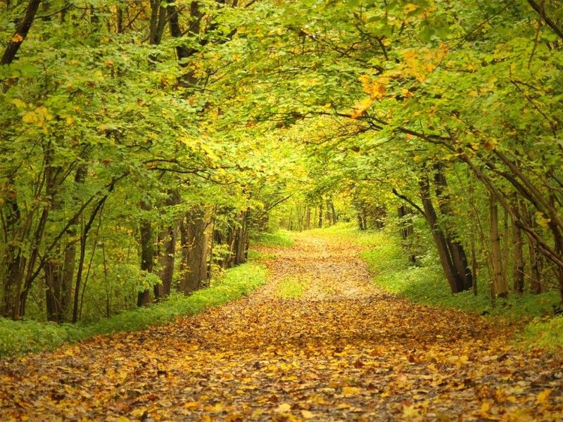 Дудергофские высоты парк