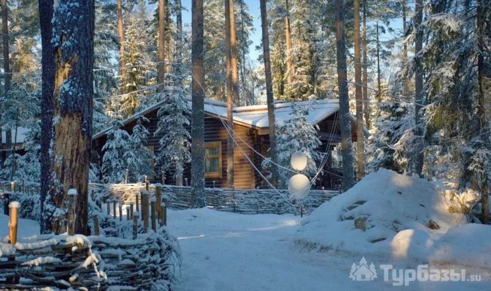 Коттедж комплекса «Шишки на Лампушке» в сосновом лесу