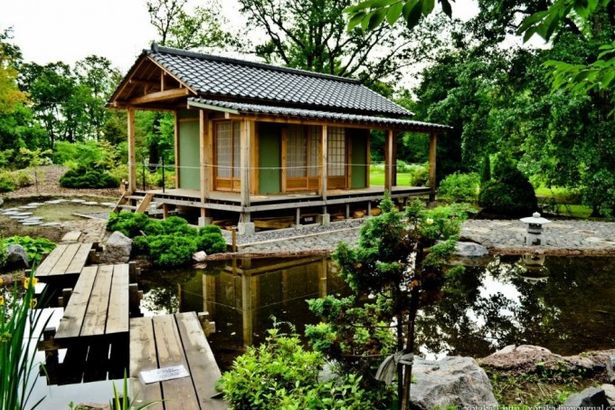 u0412 u0411u043eu0442u0430u043du0438u0447u0435u0441u043au043eu043c u0441u0430u0434u0443 u043fu0440u043eu0432u0435u0434u0443u0442 u044du043au0441u043au0443u0440u0441u0438u044e u043fu043e u042fu043fu043eu043du0441u043au043eu043cu0443 u0441u0430u0434u0443