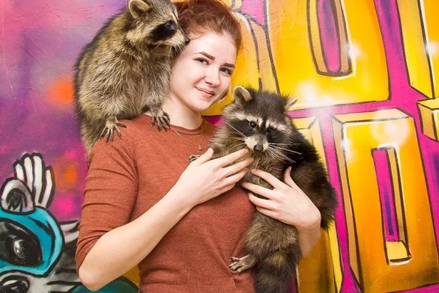 u0412u043eu0442 u0415u043du043eu0442! u043du0430 u0421u0435u043du043du043eu0439 u043fu043bu043eu0449u0430u0434u0438