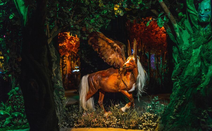 Яркие граффити, автомобиль Элвиса Пресли, гигантский макет Петербурга, столетний парфюм, специи и кофе со всего света, оригинальные вещицы для любовных утех — и это далеко не все интересности из этих необычных музеев. Большой список всех занимательных музеев и выставок Петербурга, которые понравятся как гостям, так и жителям города.