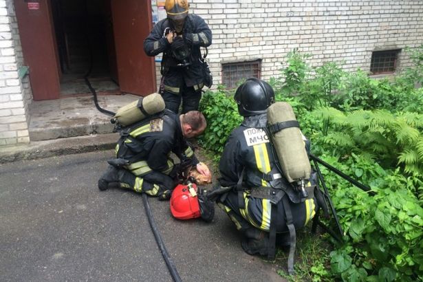 u041fu043eu0436u0430u0440u043du044bu0435 u0441u043fu0430u0441u043bu0438 u043au043eu0442u0430 u0438u0437 u0433u043eu0440u044fu0449u0435u0433u043e u0434u043eu043cu0430