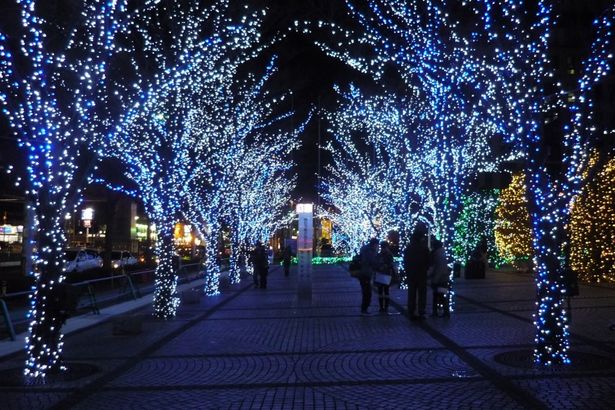 u041du0435u0432u0441u043au0438u0439 u043fu0440u043eu0441u043fu0435u043au0442 u043fu0440u0435u0432u0440u0430u0442u0438u0442u0441u044f u0432 u0441u043au0430u0437u043eu0447u043du044bu0439 u0437u0438u043cu043du0438u0439 u0441u0430u0434