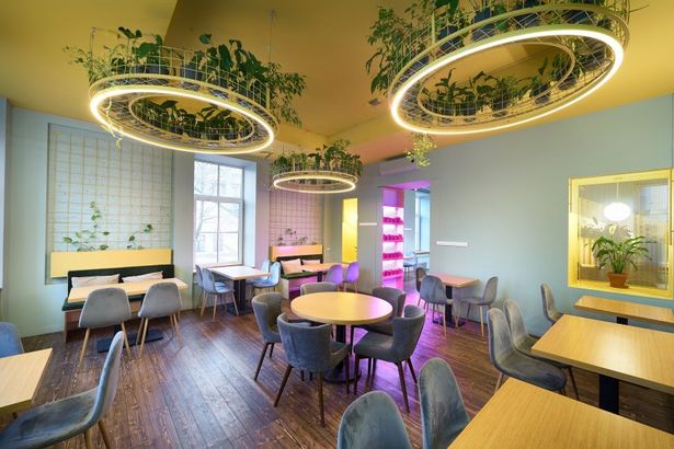 u043au0430u0444u0435 u00abu0423u043au0440u043eu043fu00bb